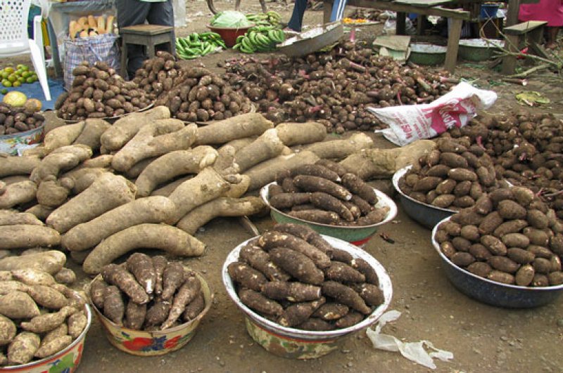 Yams on table
